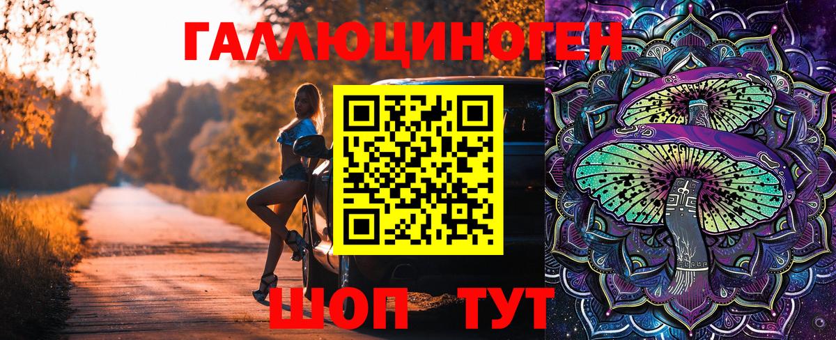 Псилоцибиновые грибы Cubensis  Вход с VPN  Северск 