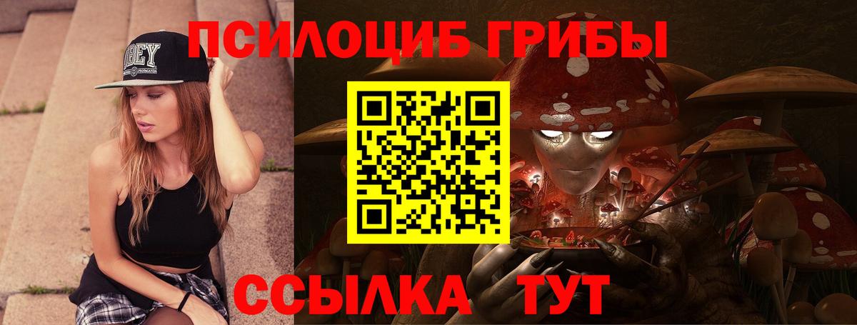 Галлюциногенные грибы Psilocybine cubensis Северск